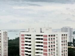 Mandarin Gardens (D15), Condominium #634539451
